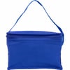 Blue Small cooler bag