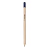 Blue Pencil Palmira