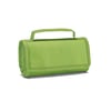 Green Foldable cooler bag