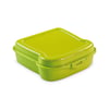 Green Sandwich Lunch Box
