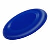 Blue Frisbee Lindi