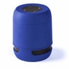Blue Braiss Speaker