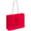 Bolsa Hintol rojo