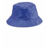 Blau Wendehut