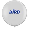 Weiß 45cm Luftballon