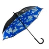 Blau Regenschirm Reid