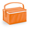 Orange Cooler bag
