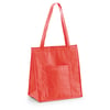 Red Cooler bag
